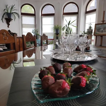 בית הארחה Villart Vendeghaz 3*