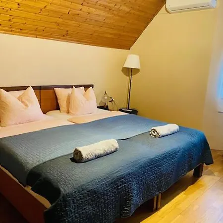 Guest house Villart Vendeghaz 3*