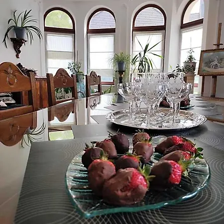 Guest house Villart Vendeghaz 3*