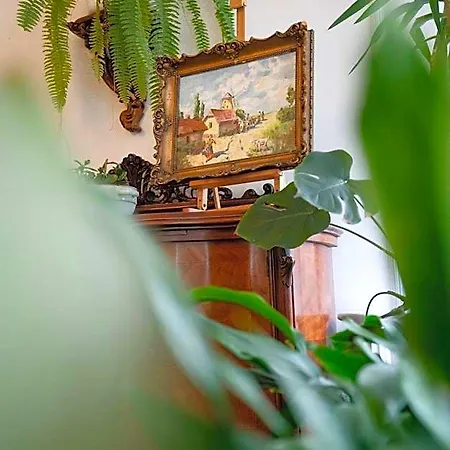 Villart Vendeghaz Guest house 3*